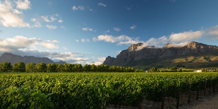 Rupert & Rothschild Vignerons Rupert & Rothschild Vignerons