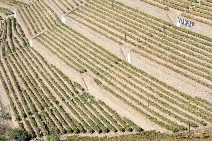Quinta do Noval Quinta do Noval