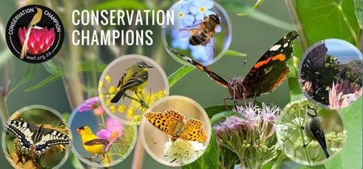 Conservation-ChampionsHNqXrHrbNxw1C