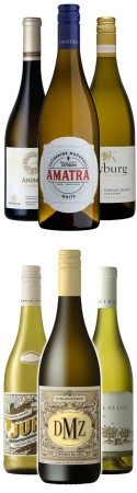 Probierpaket Chenin Blanc , der Tausendsassa Probierpaket Chenin Blanc , der Tausendsassa