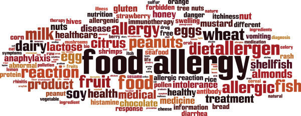 Food-Allergie-Foto