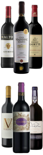 Entdeckerpaket- Weine im Kap Bordeaux Stil