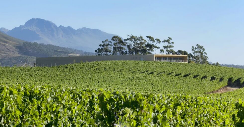 Glenelly Estate Glenelly Estate