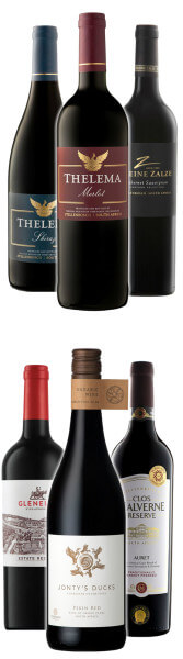 Südafrika Empfehlung vom Chef bis 20€ - Rotwein