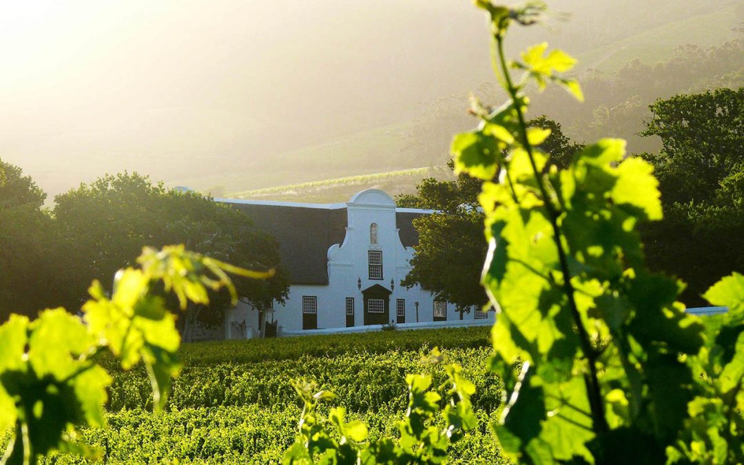 Groot Constantia Estate Constantia