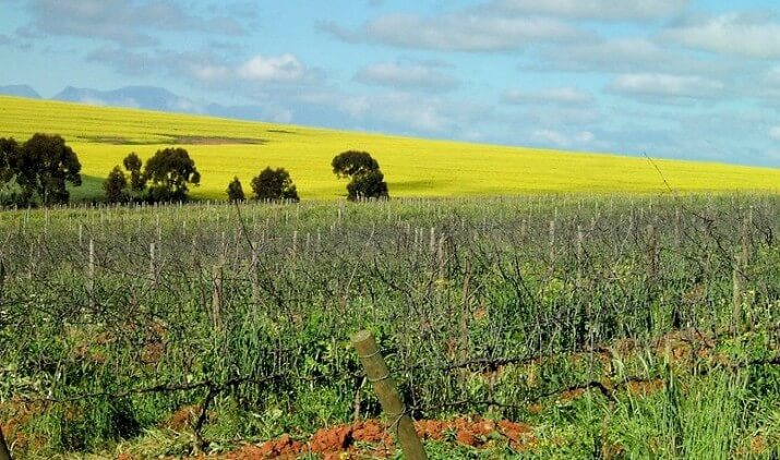 Hughes Family Wines Hughes Family Wines