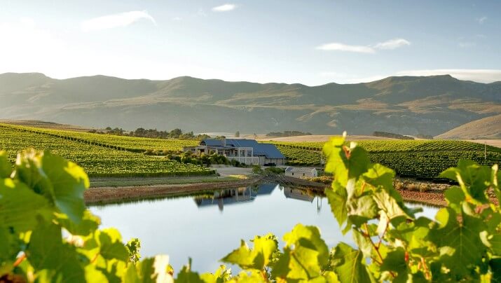 Creation Wines