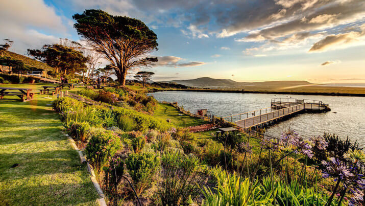 Cape Point Vineyards Cape Point Vineyards