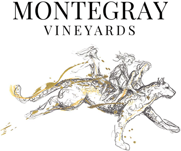 Montegray Vineyards