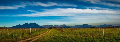 Villiera Wines Villiera Wines