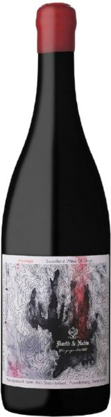 David & Nadia Topography Pinotage
