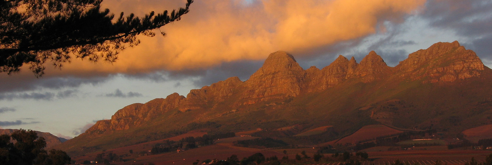 Post House Vineyards Stellenbosch