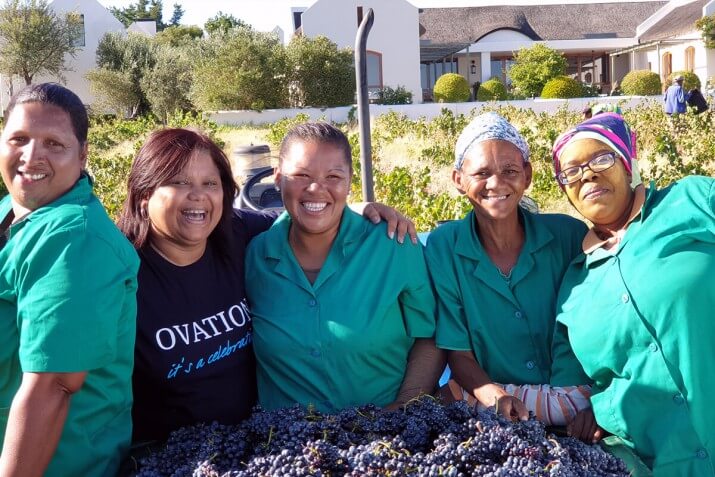 Thokozani Wines Thokozani Wines