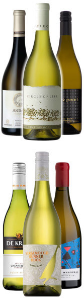 Probierpaket Chenin Blanc, der Tausendsassa