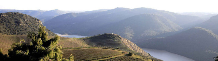 Barão de Vilar Barão de Vilar