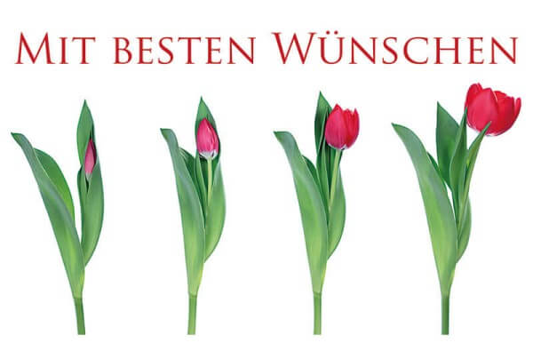 Karte "Mit besten Wünschen"