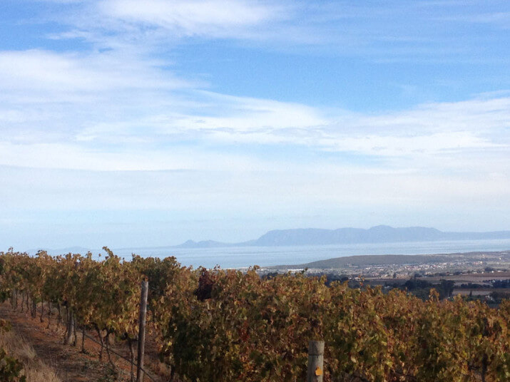Audacia Wines Audacia Wines