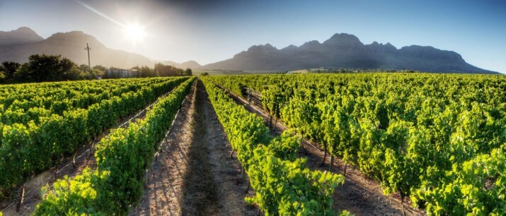 Cirrus Wines Cirrus Wines