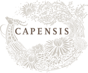 Capensis Wines