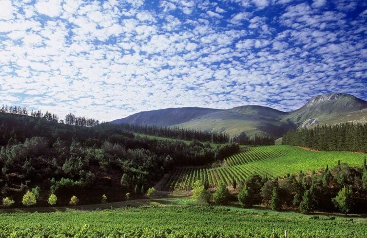 Paul Clüver Family Wines Paul Clüver Family Wines