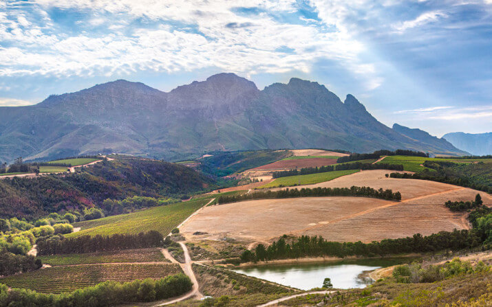 Le Riche Wines Le Riche Wines