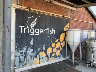 Triggerfish_bearbeitet