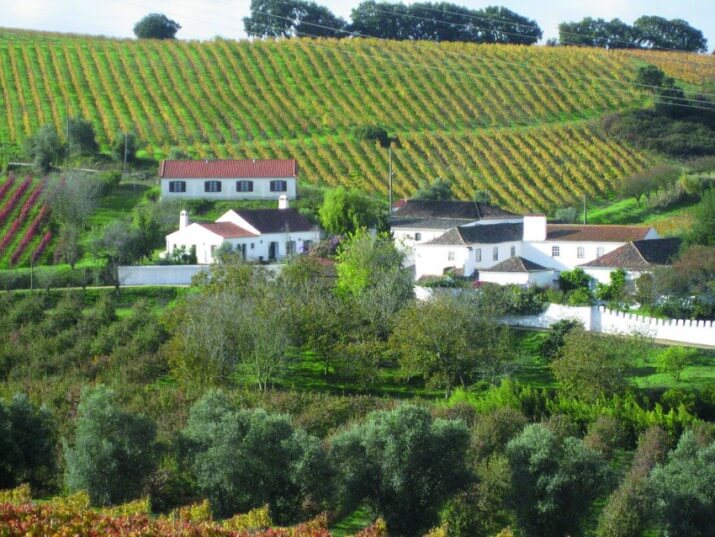 Quinta de Chocapalha Quinta de Chocapalha