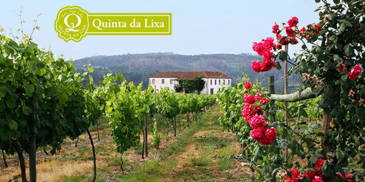 Quinta da Lixa Quinta da Lixa