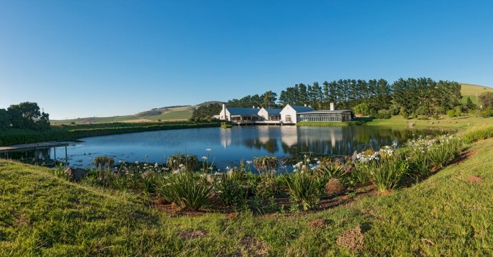 Nitida Cellars