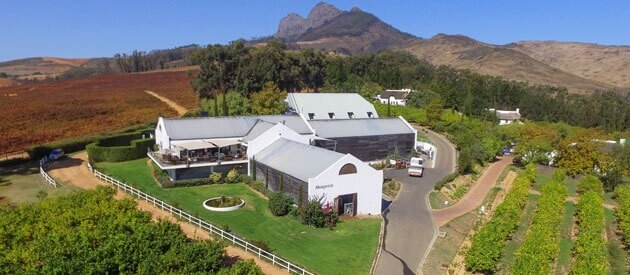 Marianne Wine Estate Marianne Wine Estate