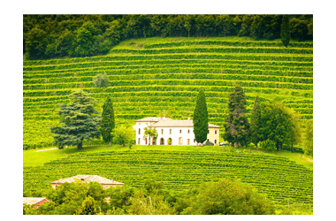 All Italien Wineries