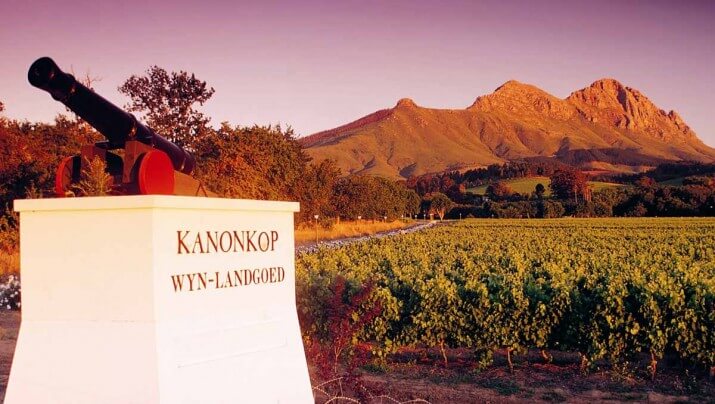 Kanonkop Kanonkop