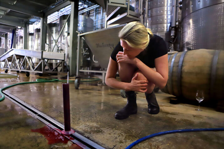 Hogan Wines