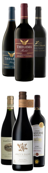 Südafrika Empfehlung vom Chef bis 20€ - Rotwein
