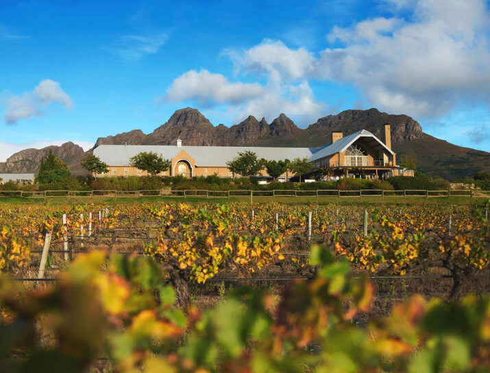 Longridge Wine Estate Longridge Wine Estate