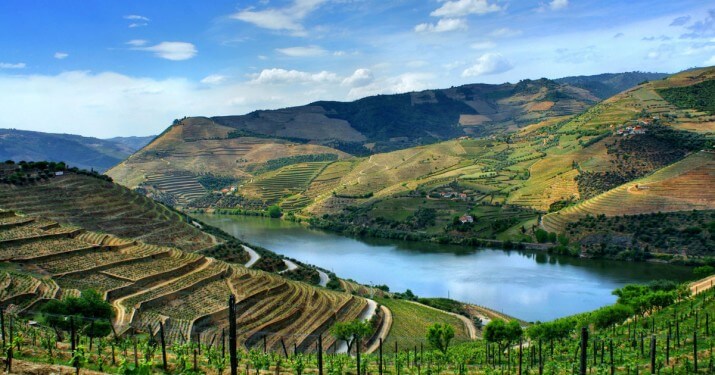 Quinta da Carvalhosa Quinta da Carvalhosa